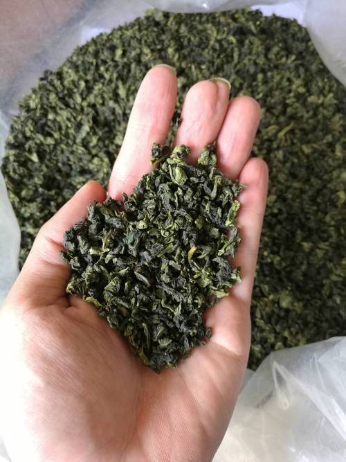 供应信息 青茶 正味铁观音批发 乌龙茶 清香型茶叶 特级 产品类别